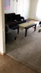 This Dog Didn't Wait for Christmas to Open Presents