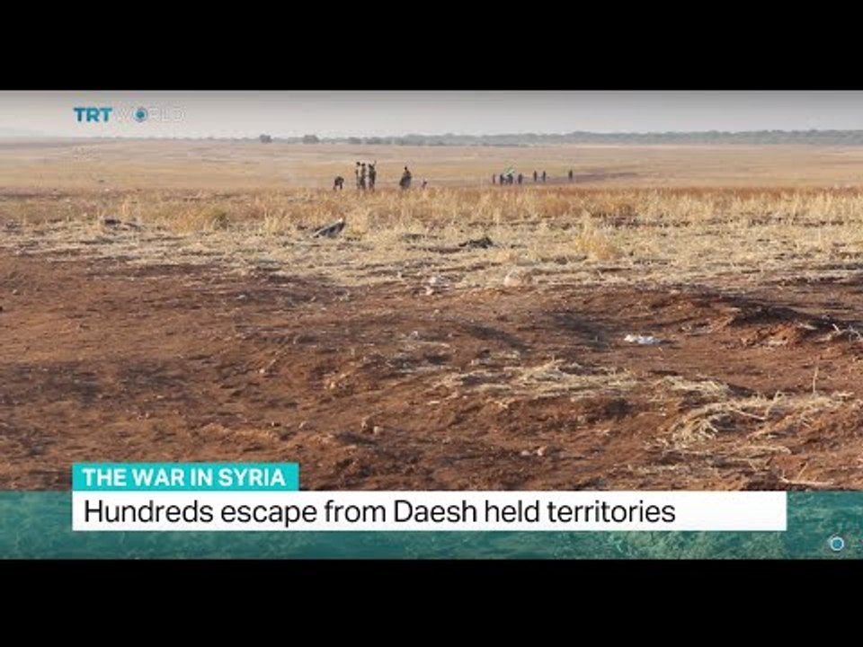 The War in Syria: Hundreds escape Daesh held territories, Soraya Lennie reports