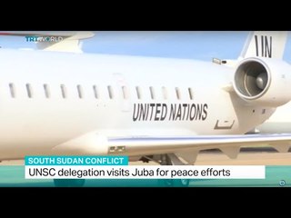 UNSC delegation visits South Sudan's capital Juba for peace efforts