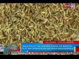 BP: Mga palay na nasira dahil sa bagyo, pilit na isinalba ng mga magsasaka