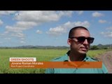 Money Talks: Puerto Rico’s agricultural renaissance