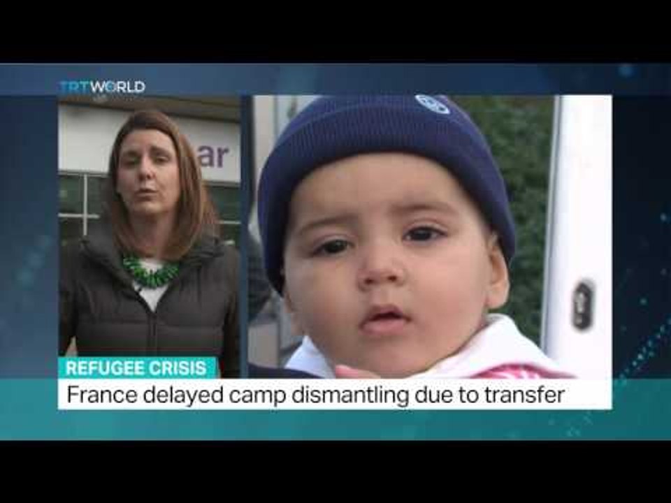 Refugee Crisis: Twelve boys from Calais refugee camp arrives in UK