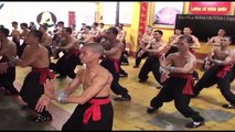 Entrenamiento y Técnicas de Kung Fu