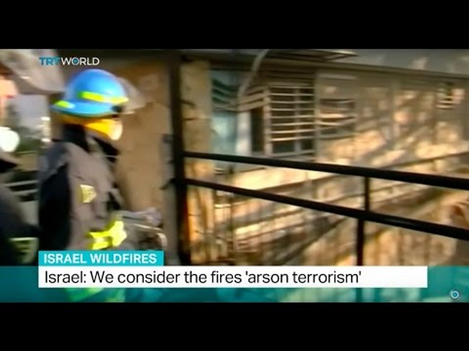 Israel Wildfires: Israel considers the fires 'arson terrorism'