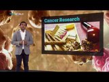 New discovery finds that palm oil and fat increases the spread of cancer cells