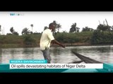 Nigeria Environment: Oil spills devastating habitats of Niger Delta