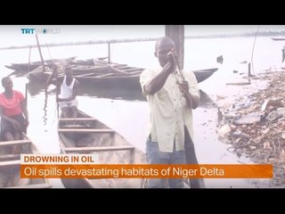 Money Talks: Oil spills devastating habitats of Niger Delta