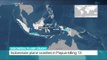 Indonesian plane crashes in Papua killing 13