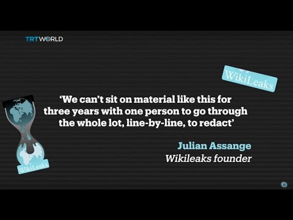 Wikileaks Anniversary: Website accused of putting civilians at risk