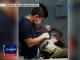 SAKSI: Bagong doktor, tumulong sa 1 ginang na napaanak sa kotse