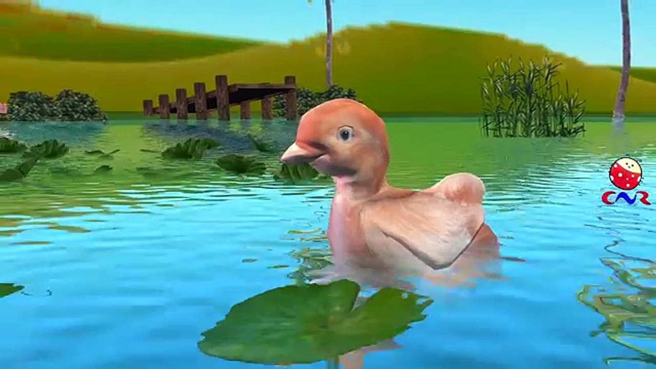 Hen Duck Ostrich Penguin And Eagle Cartoons Singing Finger Family Children Nursery Rhymes