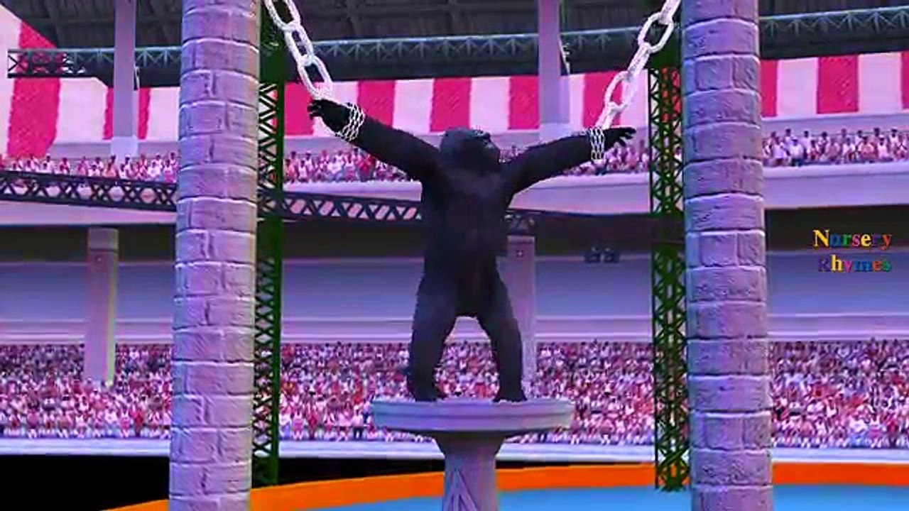 Animals Sharks Vs Dinosaurs Gorilla Elephant Finger Family More Children Nursery Rhymes 3D Animated