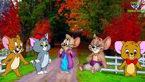 Tom Finger Family (Tom And Jerry) Nursery Rhymes For Kids | Cartoon Children Rhymes