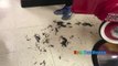 BABY'S FIRST HAIRCUT flashback  Kid Haircut Toys Trains Firetruck Ride