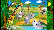 Animals Around free interactive touch books for kids with learning educational puzzle