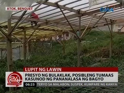 24 Oras: Presyo ng bulaklak, posibleng tumaas kasunod ng pananalasa ng bagyo