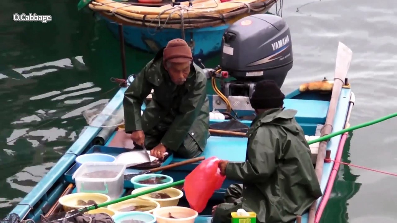 Sai Kung, Hong Kong. The Live Fish and Seafood Market on the Boats