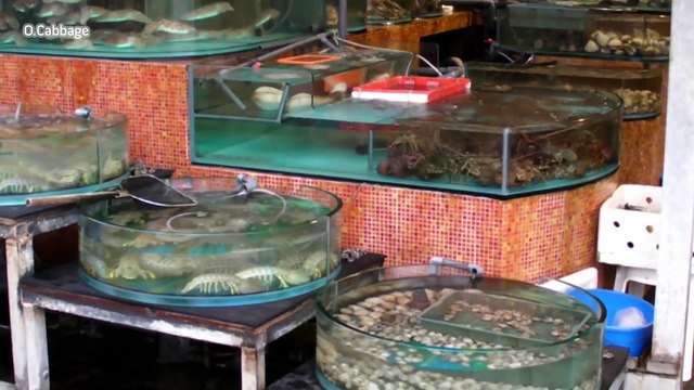 Seafood Restaurants in Sai Kung, Hong Kong