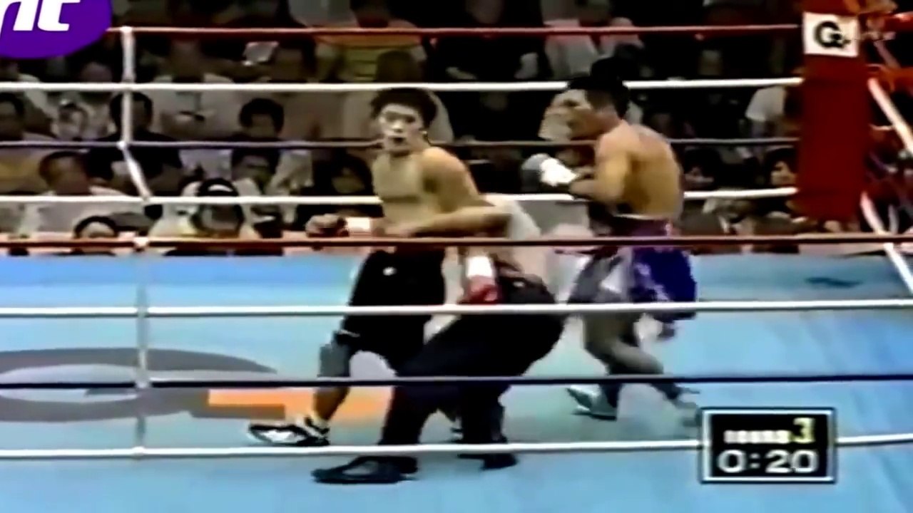 Funny Stupid Girls Boys Gone Wild Vine Compilation Video