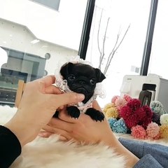 Your daily dose of cuteness