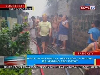 BP: Abot sa 20 pamilya, apektado sa sunog; dalawang aso, patay