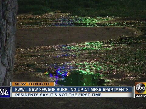 Raw sewage spilling onto sidewalk of Mesa apartment