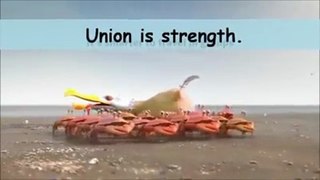 Union is Strength 2017