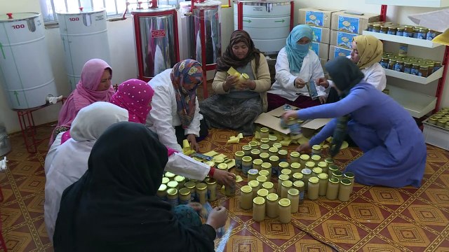 Quand les abeilles donnent du pouvoir aux femmes afghanes