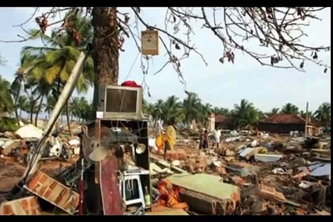 বিশ্ব এক যুগ পরও থাইল্যান্ডে শনাক্তহীন সুনামির ৪০০ লাশ