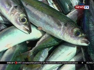 SONA: Panatag Shoal, sagana pa rin sa yamang dagat, ayon sa BFAR