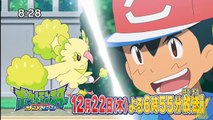 Anime Pokémon SUN&MOON Episodes 08 Preview P2-7Le-gxQ4kGQ