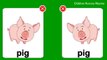 Pet Animals for Children Animals Name with Picture for Kids