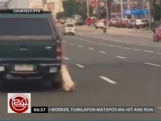 24 Oras: PAWS: Mga alagang hayop, dapat nasa kulungan o hawak ng may-ari tuwing ibinibiyahe