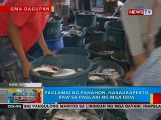 BP: Paglamig ng panahon, nakakaapekto raw sa paglaki ng mga isda