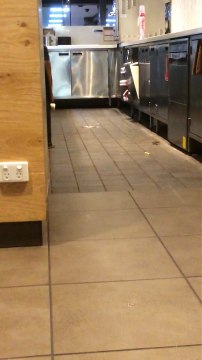 Des souris à McDo... Et en plus elles aiment les frites!