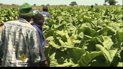 Zimbabwe: White farmers waiting for compensation for seized land