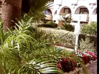 Alpha 5.20 a Cannes aka "Little Miami" 3025 av Racailles4