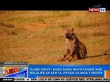 NTG: 'Game Drive' kung saan matatanaw ang wildlife sa Kenya, patok sa mga turista