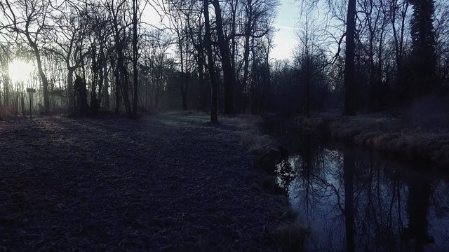 Le Bois de Vincennes comme vous ne l’avez jamais vu by Lionel Fouré