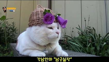 보물섬안마 010⇔4373⇔1910『보물섬안마,남궁실장』【보물섬안마방,보물섬안마실장】∑보물섬안마위치∑보물섬안마추천[[보물섬안마위치 보물섬안마추천