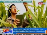 NTG: Los Baños, Laguna, tahanan ng mga batang imbentor at eksperto sa agham