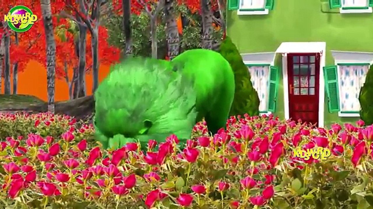 Animals Finger Family Songs || Crazy Animals Animated || 3D Kids World Finger Family Songs ||