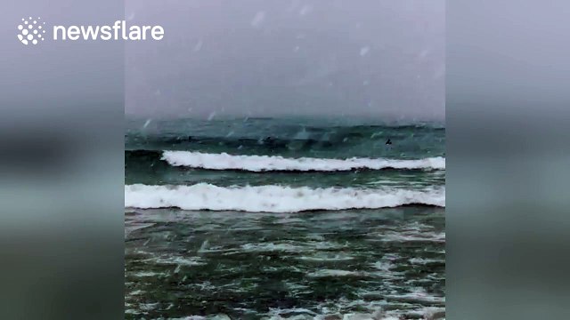 Surfers brave negative temperatures to ride waves on Lake Michigan