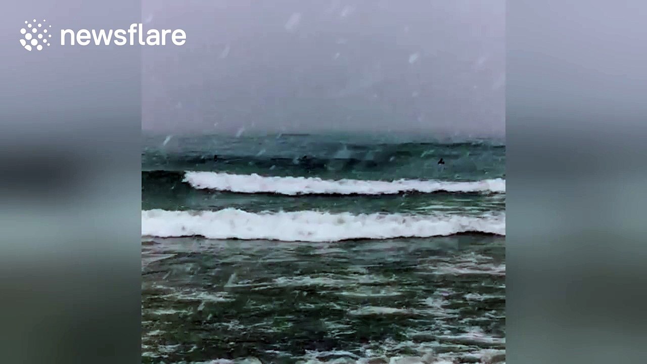 Surfers brave negative temperatures to ride waves on Lake Michigan