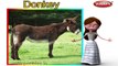 Donkey Nursery Rhyme | Animal Rhymes | Nursery Rhymes With Lyrics | Nursery Rhymes 3D Animation