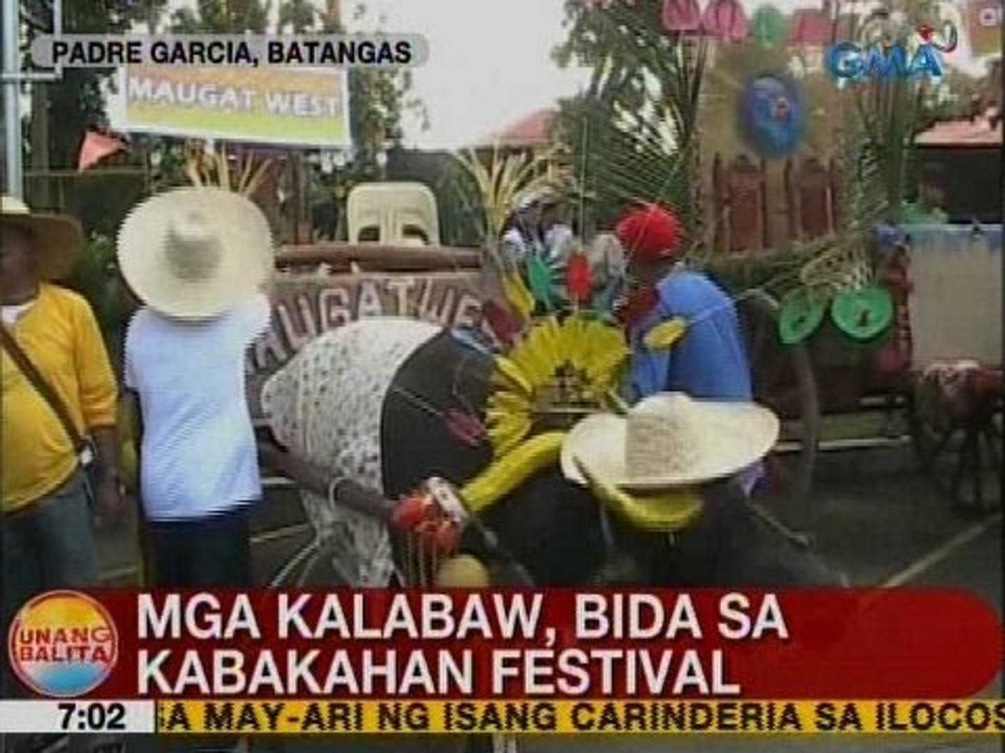 UB: Mga kalabaw, bida sa Kabakahan Festival sa Batangas - video Dailymotion
