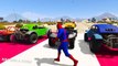 Colored OffRoad Cars for Kids Transportation with Funny Cartoon Spiderman & Nursery rhymes Songs