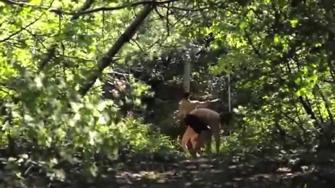 Korean Movie 2016  남쪽으로 간다 Going South  예고편