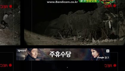 CODSOFT 사설사이트제작,토토솔루션,토토사이트제작,임대해드립니다.