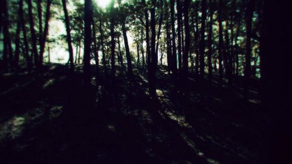 PROJECT Re FANTASY コンセプトビデオ